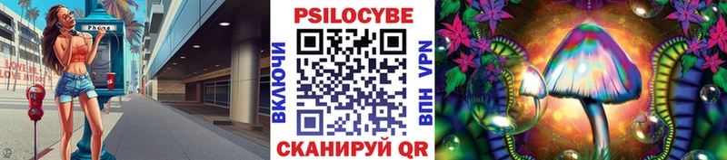 Купить где  Сельцо  Псилоцибиновые грибы MAGIC MUSHROOMS 